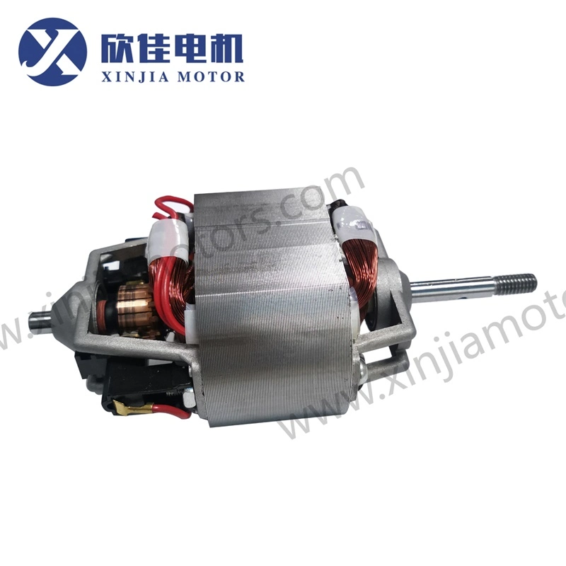 81 Series Juicer Motor with AC 220V/100V