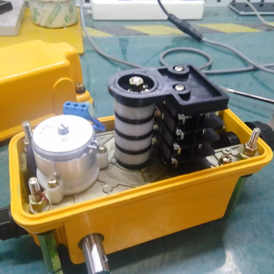 1: 274 Dxz Height Limiter Slewing Limit Switch in Aluminum with Potentiometer for Tower Crane Cam Rotary Dxz