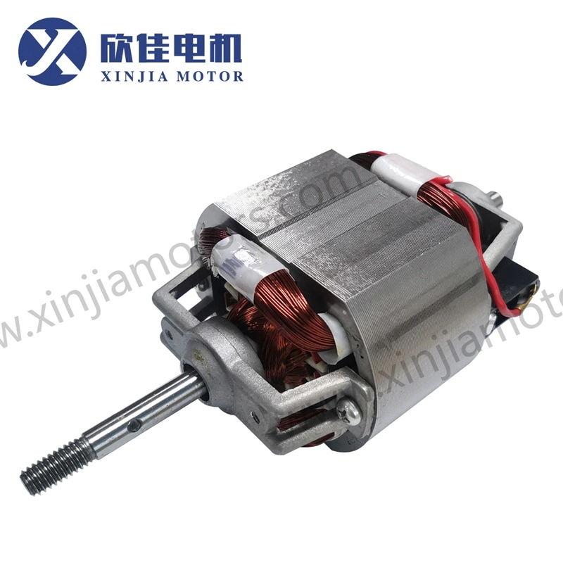 81 Series Juicer Motor with AC 220V/100V