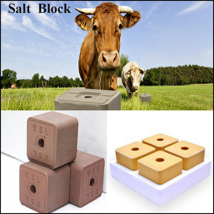 Animal Mineral Salt Licking Block Press Machine Equipped Hydraulic Overload Protection Device